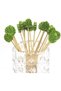 Bamboo Camel Toothbrush - Tropical Leaf Toothbrush 12 Pack