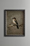 Bird on a Flower Branch - Vintage Patterned Frame - Slim Model