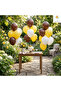 Birthday Party Decorations Balloon Set 20 Pieces Brown Yellow White Balloons