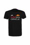 Red Bull Oracle Printed, Casual & Sports T-Shirt Unisex Black 100% Cotton Regular T-Shirt
