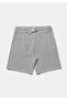 Regular Fit Mid Waist Striped Men's Gray Shorts - 5