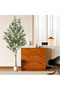 152/182/212/242cm (5/6/7/8FT) Artificial Olive Tree, Lifelike Faux Potted Plant for Home Office Decor