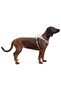 Y Type Sport Dog Chest Harness 25 mm (50-85 / 75-100 cm) - Fitty Series - L - 6