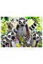 Prime 3d - lemur plush and selfie 48 piece puzzle 15801 - 3