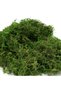 100g Natural Moss for Plants Indoor, Moss for Arts and Crafts, Fake Grass for Potted Fairy Garden DIY Model Making Walls Glass Containers Home Decor (3.5 oz) - 7