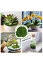 100g Artificial Moss for Plants Indoor, Fake Moss for Arts and Crafts, Faux Grass for Potted Fairy Garden DIY Model Making Walls Glass Containers Home Decor Dark Green (3.5oz) - 6