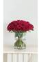فازة ابها - 5