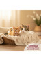 Kitten Cat Dry Food | Premium German Formula | Growth & | Kittens | 2 K - 6