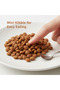 Kitten Cat Dry Food | Premium German Formula | Growth & | Kittens | 2 K - 4