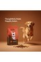 Adult Dogs Dry Food | High-Quality Protein | Daily Feeding (All Breeds) | 15 Kg - 4