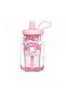 Kawaii Water Bottle with Straw – Leakproof Cute Kids Drinking Bottle