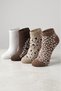 Women's Cotton Booties Socks Colorful 4-Piece Pack - 2