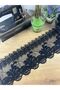 Elegant Curvy Lace Ribbon on a Sheer Fabric (1Mt)