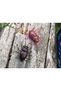 Maybug 3.3cm #012 Chaos 3.3cm #012 - 5