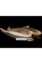 Shad Impact Silver Flash Minnow 416 5cm - 2