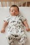 0.5 Tog Summer Baby & Kids Sleeping Bag - Pandas - 5
