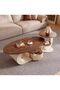 2Pcs Coffee Table with Storage - 4