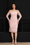 Beaded Detailed Lace Pencil Dress - Powder