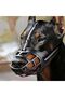 for about 2.5KG Dog Durable Anti-Biting Adjustable Dog Muzzle Can Drink Water With Reflective Strip - 3