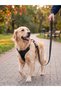 Dog Walking Leash 120 cm Reflective Lockable Carabiner Traction Resistant Large and Medium Breeds - 2