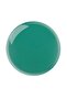 In A Flash Quick Dry Nail Paint 10ml- Teal Rush QDNP4 - 2