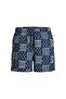 Shell Allover Print Men's Swim Shorts (12291808-Pbl) - 5