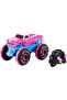 Monster Trucks 1:24 RC Vehicle