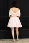 Sleeve Detailed Boat Neck Mini Dress - Pudra - 7