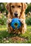 Sound-Activated Cat and Dog Food Reward Ball Intelligence Enhancing Interactive Training Toy 3 Color Options - 2