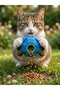 Sound-Activated Cat and Dog Food Reward Ball Intelligence Enhancing Interactive Training Toy 3 Color Options - 3