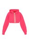 Sweatshirt - 2