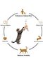 White Furry Cat Play Rod Elastic Jumping Activity Functional Design Sturdy and Durable - 5