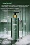 Rosemary Shampoo with Biotin and Argan Extract to Prevent Shedding and Help Fast Growth 400 ml - 2