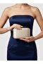 Nude Color Satin Silver Case Evening Bag Evening Bag Wedding Engagement Portfolio