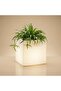 حوض زراعة مربع LED متوسط الحجم 40 × 40 × 41 × 24 سم، مصنوع من البلاستيك LLDPE، سعة 25 لتر للزراعة - 5