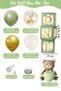 Mould Green Themed 1 Year Old Birthday Set; Sage One Box, Teddy Bear Foil and Mold Green Chrome Gold Ball Gown - 3