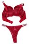 Burgundy Stone Detailed Lace Supported Bra Set - 4
