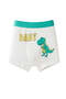 Boys Cotton Cute Dinosaur Boxer Pack of 4 - 4