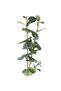 AURA DAL ÇİÇEK 70 CM - 3