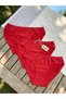 Black Red Skin 3-Piece Same Color 94% Cotton Passion Waterway Women's Panties - 2