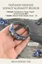 Sodalite Stone Bracelet Hematite Bracelet Steel Wire Bracelet - 4