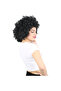 Animation Party and Clown Wig / Black - 2