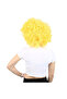 Animation Party and Clown Wig / Yellow - 4