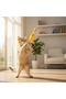 Squeaky Rubber Chicken Toy for Cats and Dogs - 3