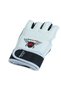 TKD Pro Gloves - 5