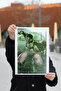 poster - 2