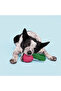 Turnt Turp Dog Toy - 2