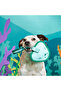 Flingray Sound-Activated Vatos Dog Toy - 2