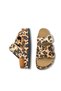 Phoebe Viven Women's Slippers 0012704 Leopard - 5