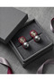 Burgundy Gray Color Earrings - 2